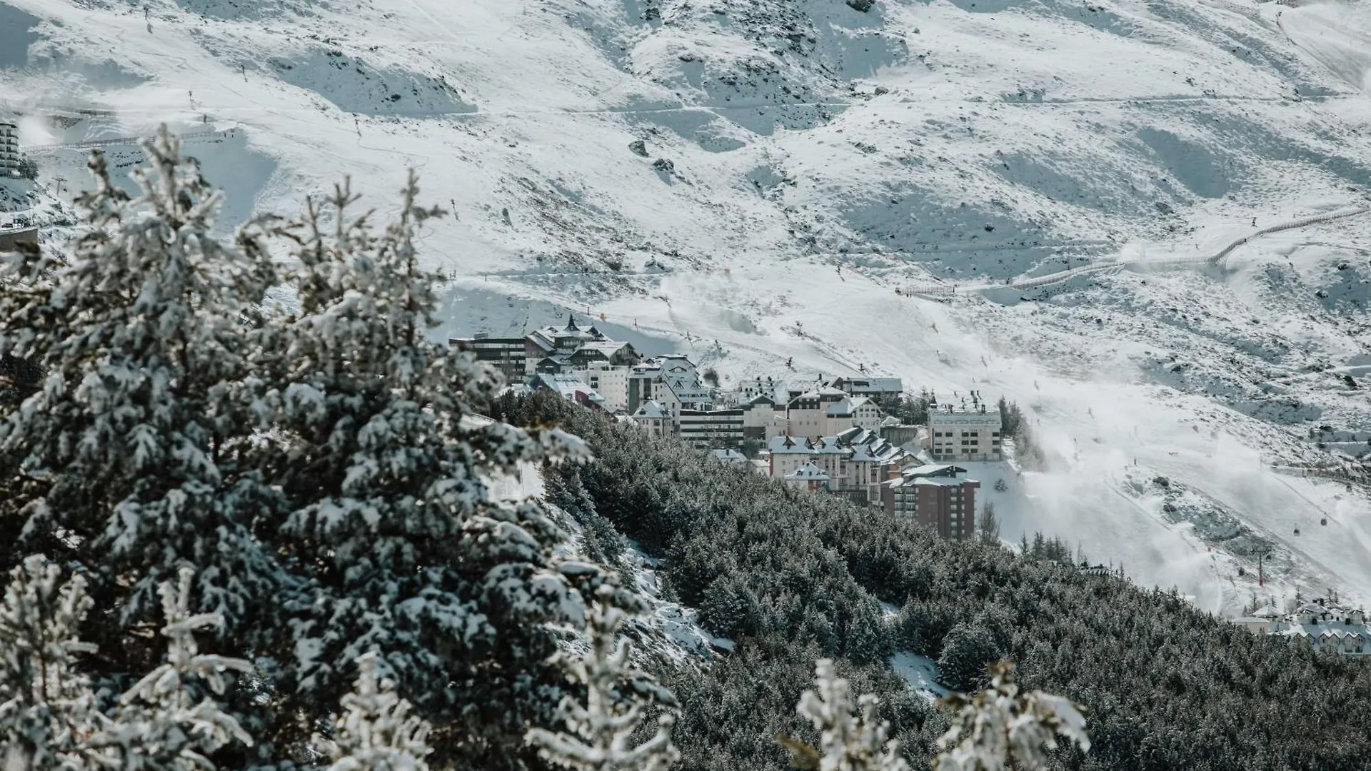 Luxury 3Bed Penthouse By Ski Slope - Sierra Nevada Apartment